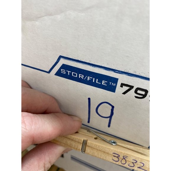 the curious case of the missing mammoth hardcover picture book - Picture 7 of 7